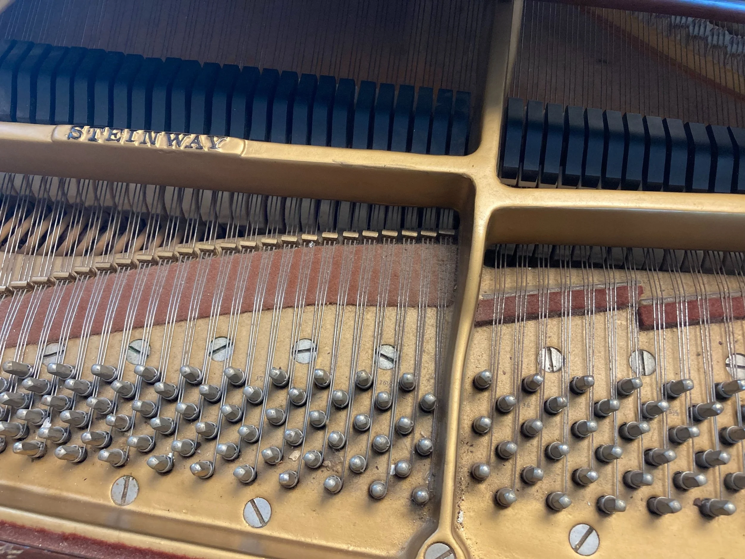 Golden piano strings — new piano owner's guide